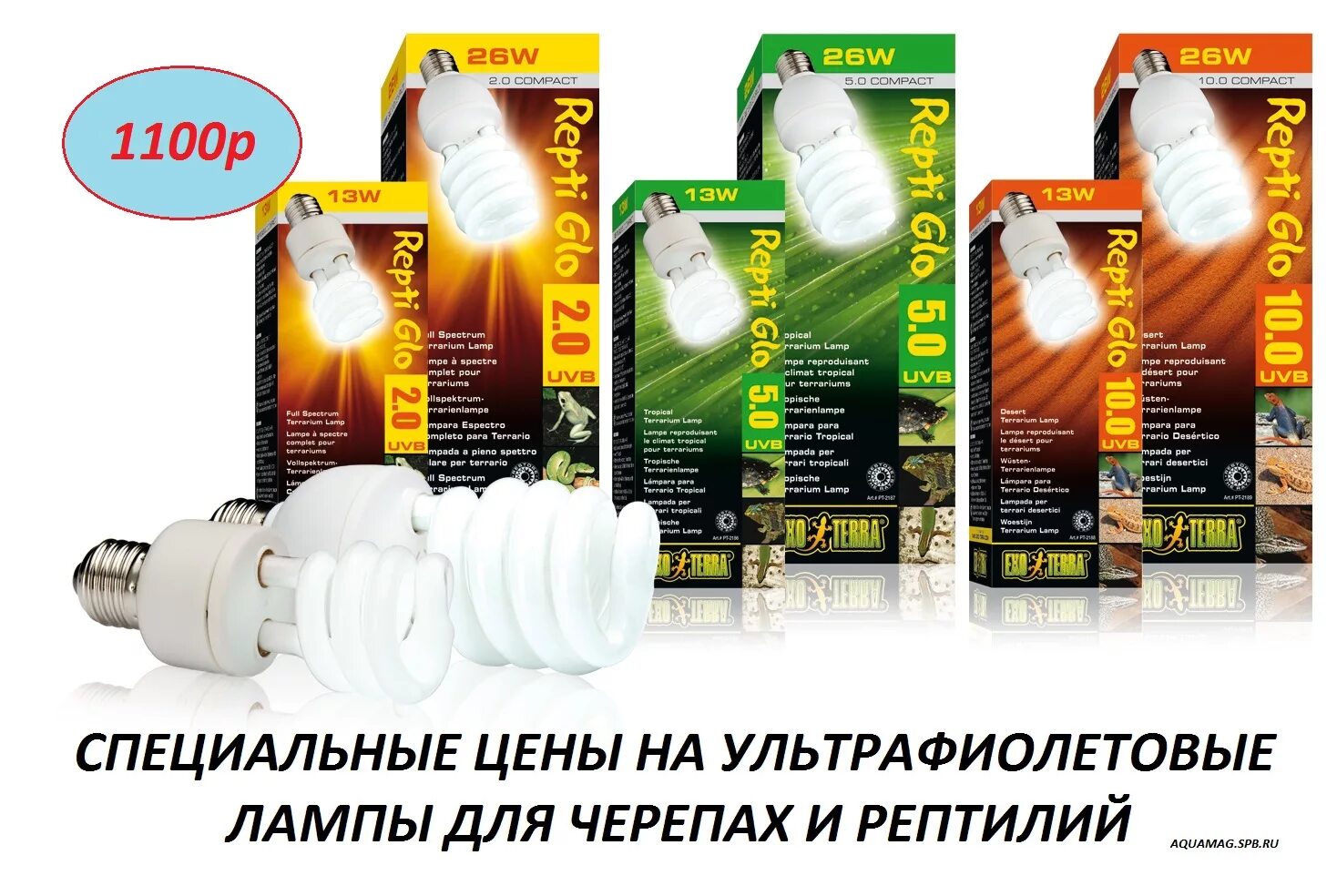 ультрафиолетовая лампа е14 для черепах 75w. ультрафиолетовая лампа для черепах jbl. ультрафиолетовая лампа для черепах красноухих. ультрафиолетовая лампа для черепах красноухих. лампа для рептилий lucky herp uvb 10.