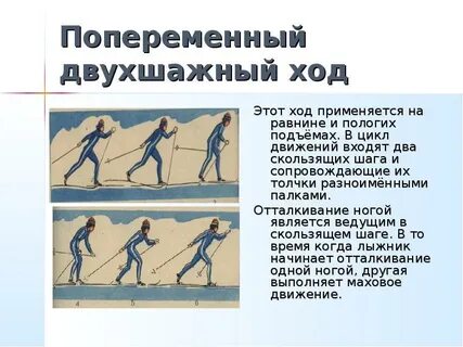 Что является техникой попеременного двухшажного хода