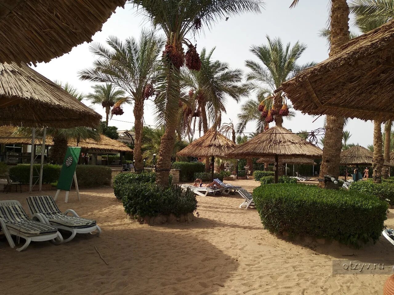 Maritim jolie ville resort casino пляж. Maritim jolie ville resort casino 5 схема отеля. Maritim jolie ville resort 5 отзывы. Maritim jolie ville resort 5 отзывы. Maritim jolie ville resort 5 отзывы.