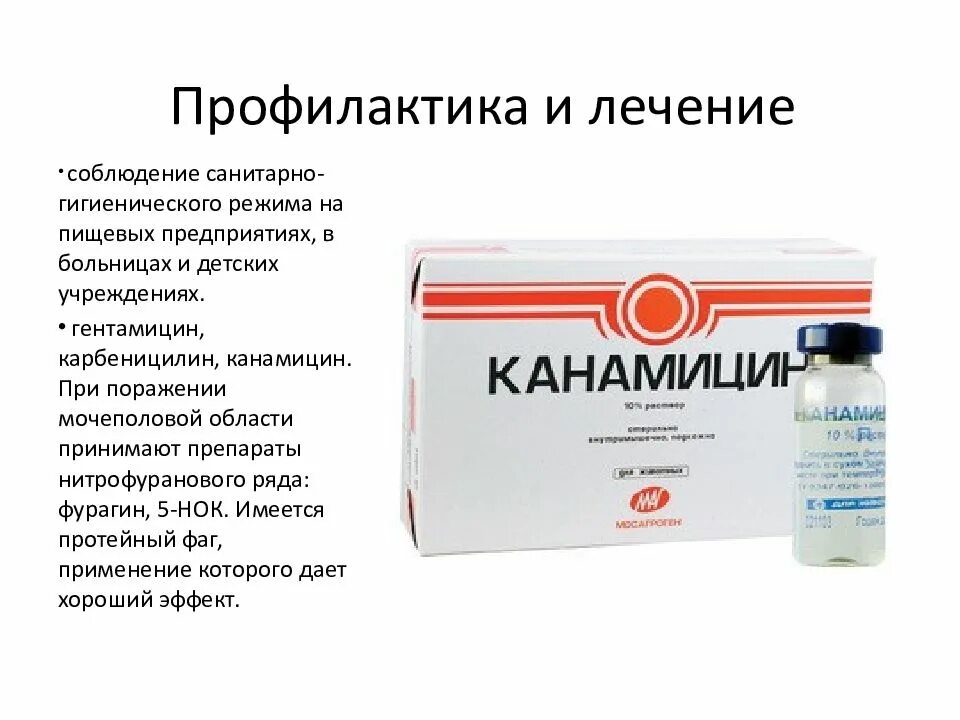 Стрептомицин канамицин. Канамицин инструкция. 1г. Канамицин во флаконах. Канамицин для животных.