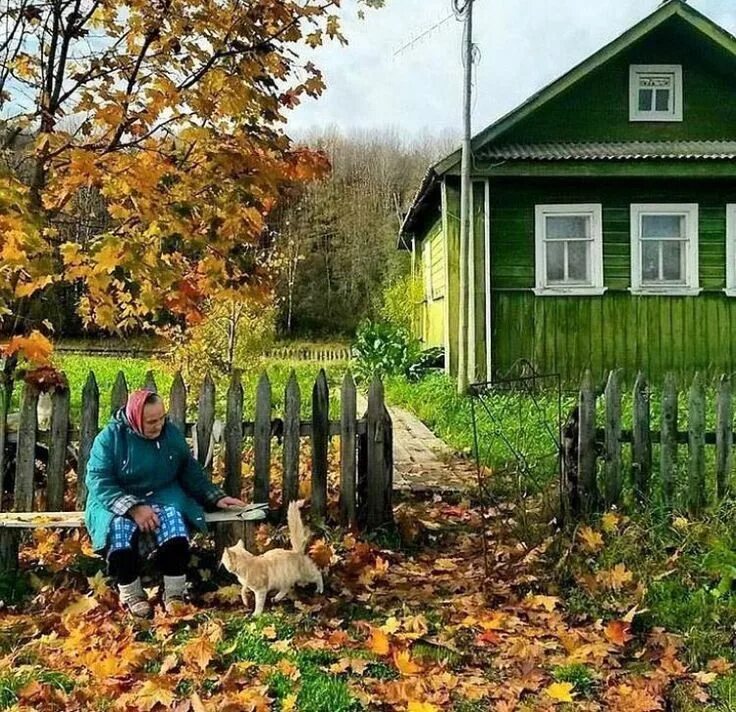 Осень в деревне. Деревня осенью. Осен ДИРИВНЯ. Золотая осень в деревне.