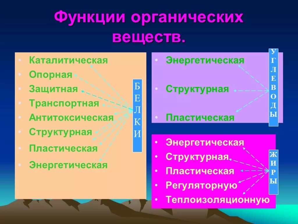 Функции органических веществ. Основные функции органических веществ. Функции органических соединений.