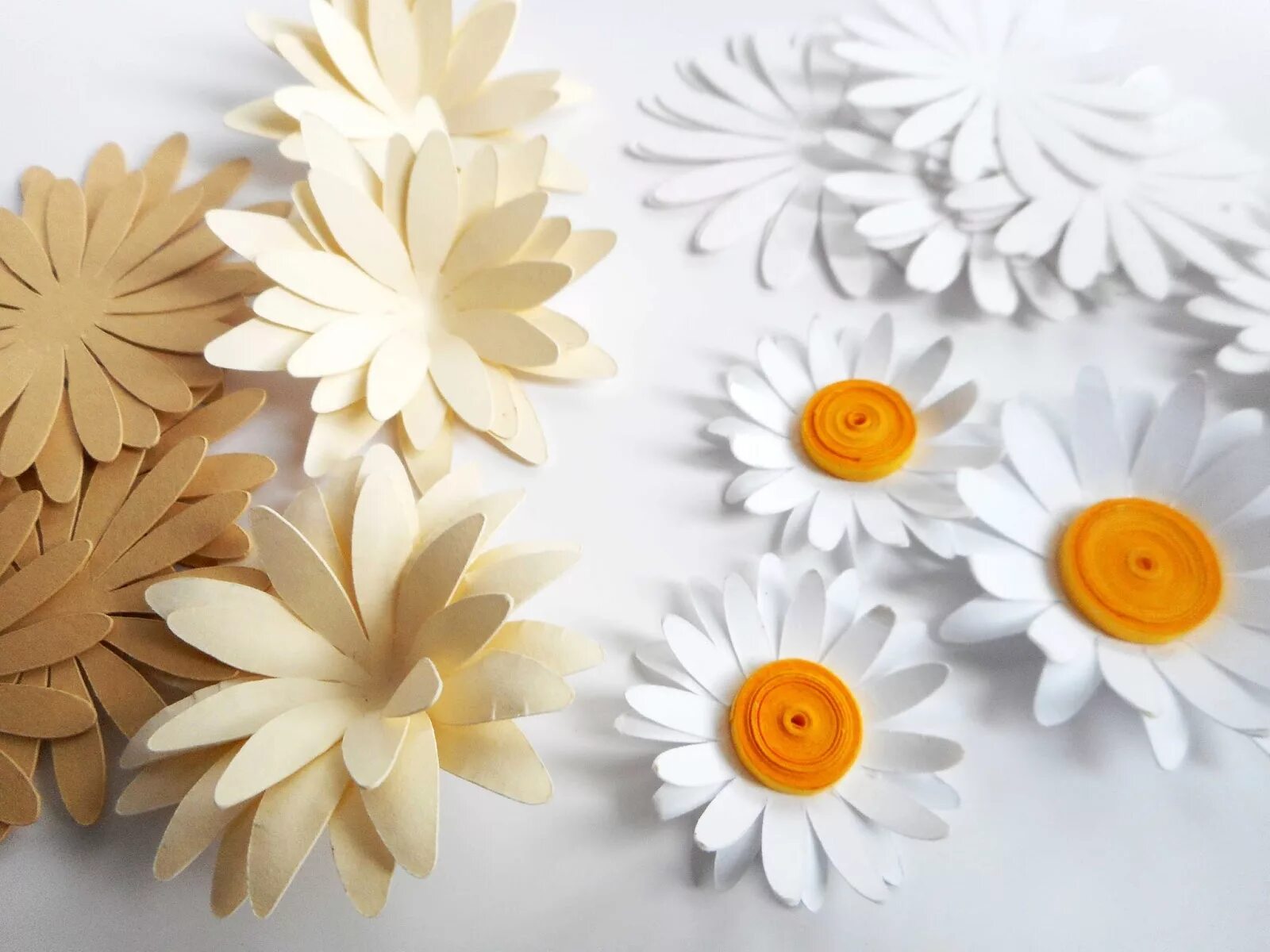 Как вырезать ромашку. Маленькие объемные цветы из бумаги. Как вырезать ромашку. Как сделать цветы из белой бумаги а4 своими руками пошагово. Белый цветок из бумаги.
