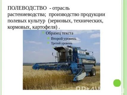 Отрасли растениеводства 9 класс