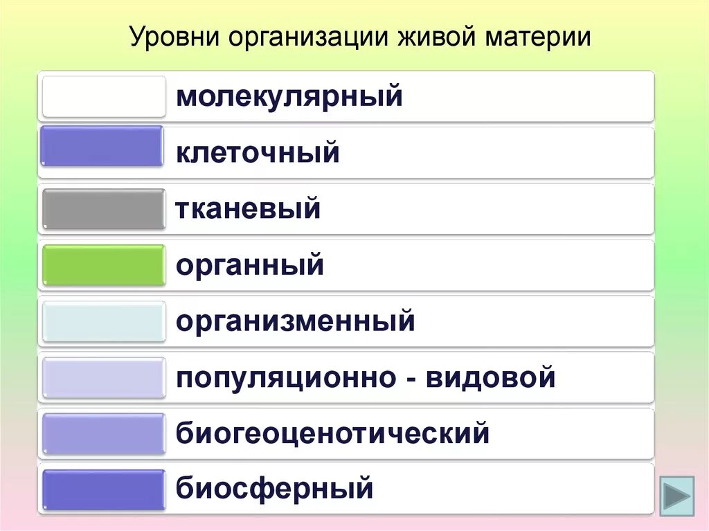 Какой уровень организации живой природы представляет. Какой уровень организации живой природы представляет