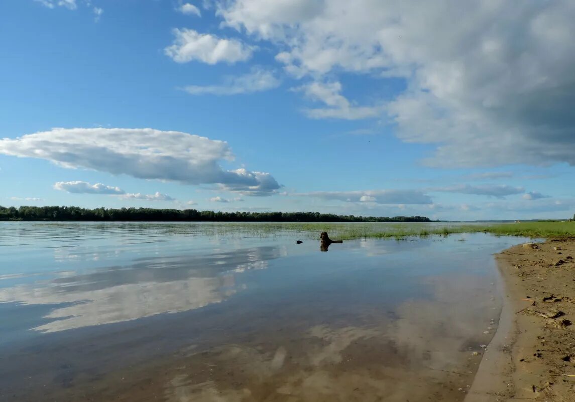 Обь село. Обь Томская область. Река Обь Томская область. Берег реки Обь. Природа Томская область летом на Оби.