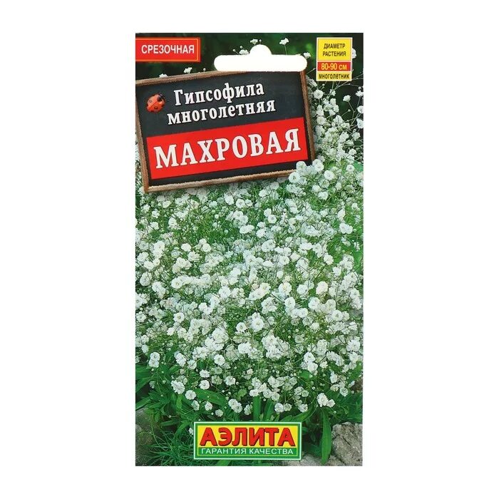 Гипсофила махровая многолетняя. Гипсофила метельчатая сноуфлейк. Гипсофилы цветы семена. Гипсофилы цветы семена. Гипсофила махровая снежинка.