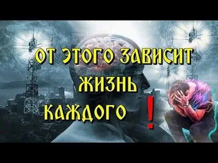 Рассвет правды