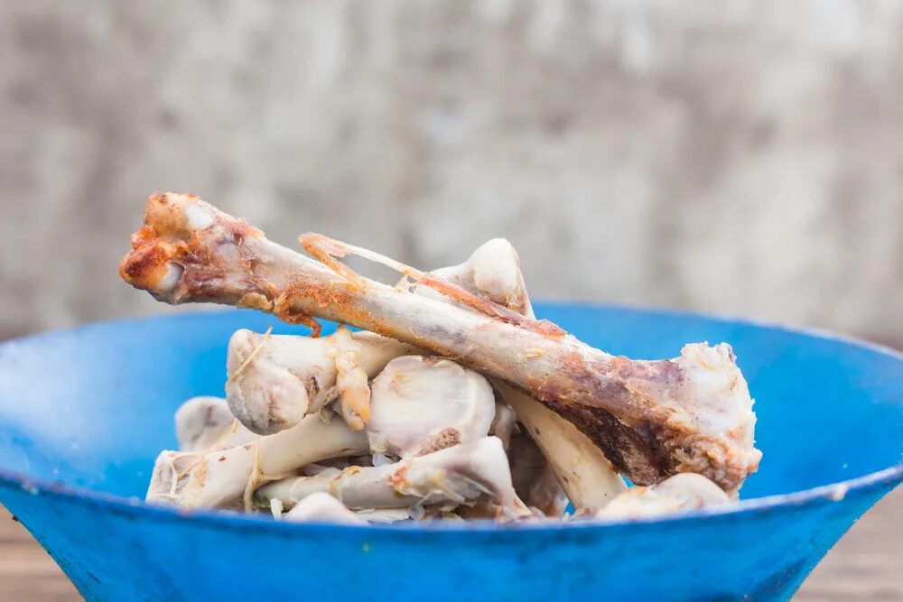 куриные кости людям