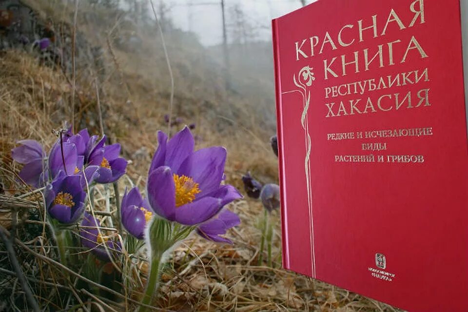 Штрафы красная книга