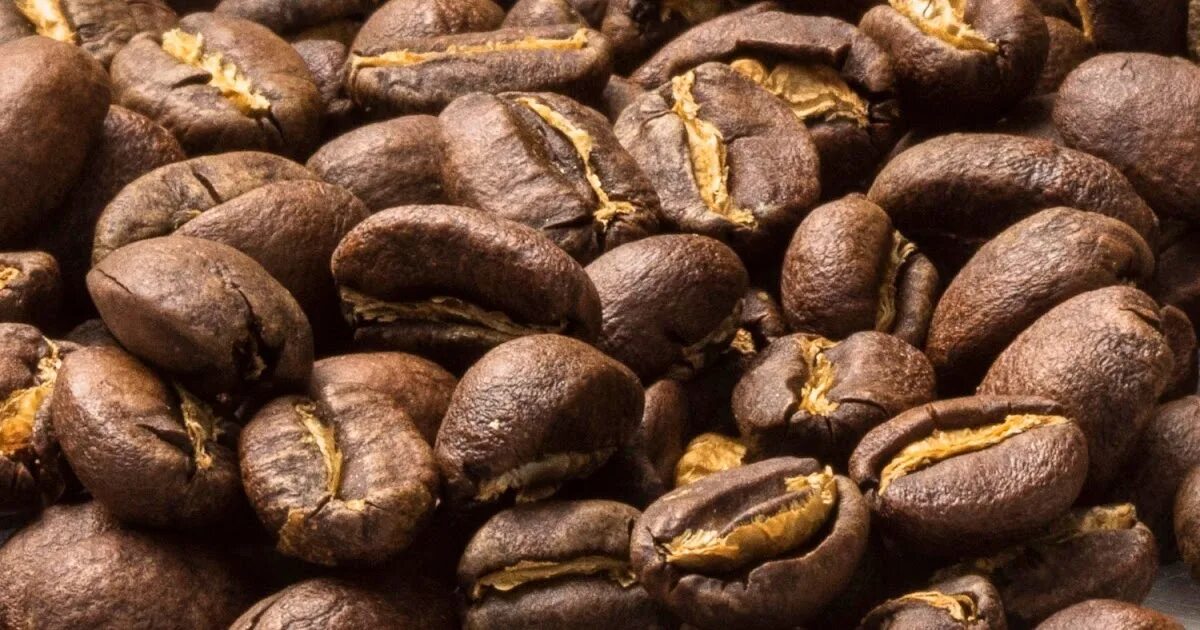 Кубинский сорт кофе. Эфиопия йергачефф. сорт кофе yirgacheffe. ethiopian mocha coffee. volcanica&#039;s ethiopian coffee.