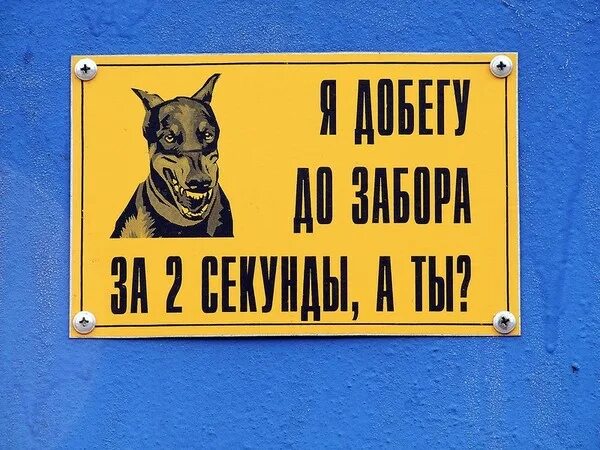 Добежав до забора собака опять мгновенно разворачивается. Добежав до забора собака опять мгновенно разворачивается