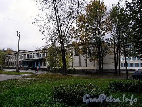 Сош 213. Школа 213 санкт-петербург. школа 213 новосибирск.