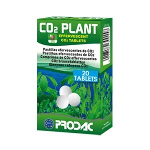 Co2 plants