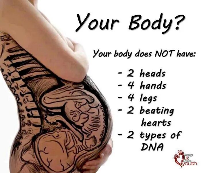 I am not my body. Your body. not your body not your choice. your body meme. body is not bodying.