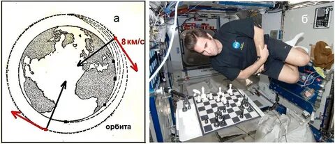 Пол орбиты