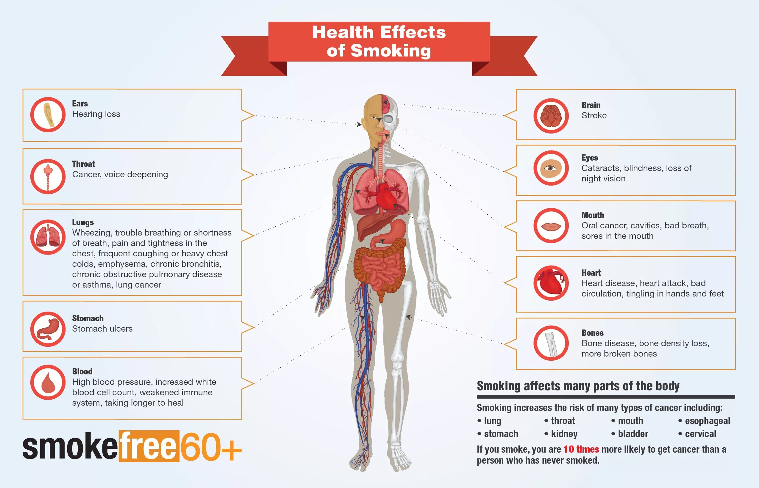 Healthy risks of smoking.