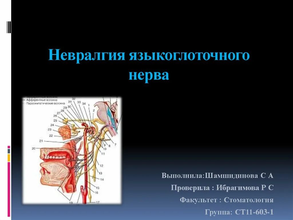 Языкоглоточный блуждающий нерв. Ядра языкоглоточного нерва схема. Невралгия языкоглоточного нерва. Область иннервации языкоглоточного нерва. Невропатия и невралгия языкоглоточного нерва.