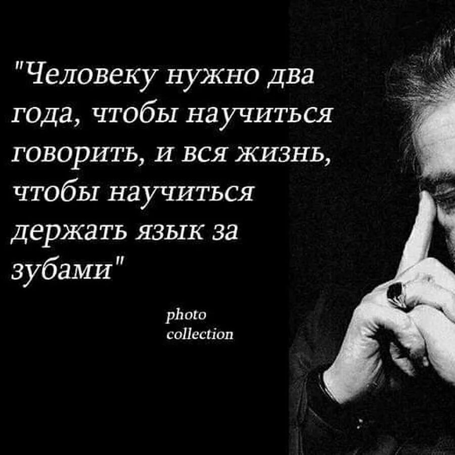 Сколько жить осталось все. Высказывания Аль Пачино. Аль Пачино высказывания о жизни. Аль Пачино цитаты. Аль Пачино цитаты и афоризмы.