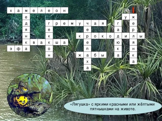 растения обитающие в водной среде. сообщение о среде обитания. водная среда обитания. водная среда жизни. доклад об обитателях водной среды.