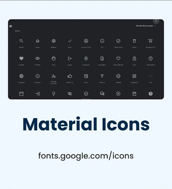 Боги трансы. Python. Python today. Fourth язык программирования. Python today.