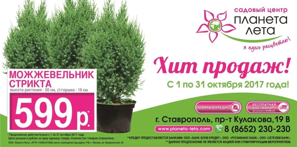 лето краснодар каталог товаров. садовый центр летто на соколова краснодар. Letto садовый центр. магазин летто краснодар. садовый центр планета лета краснодар.