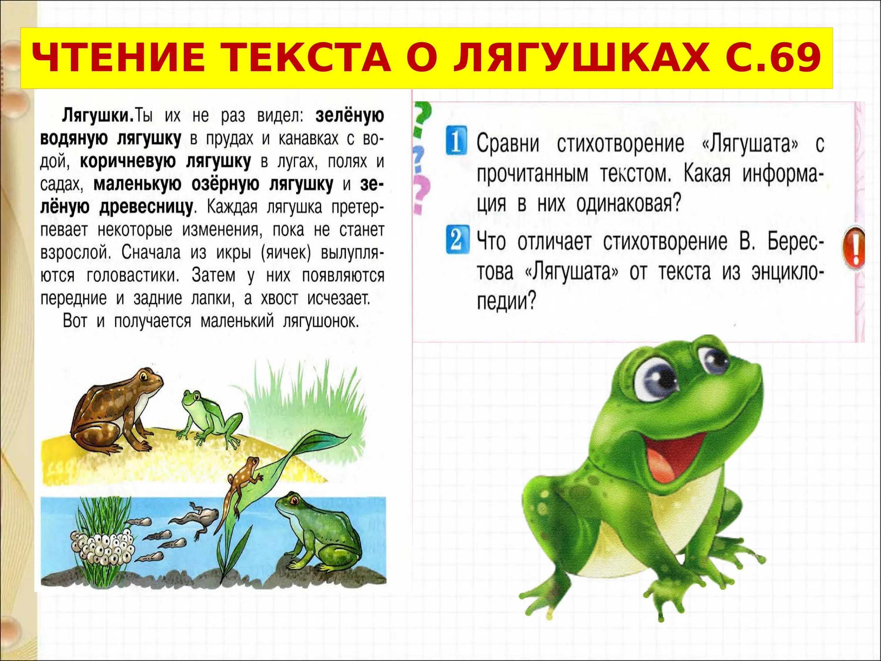 Как разделить слово лягушка. Текст про лягушку. Лягушка для детей. Рассказ о лягушке. Расскра лягушка.