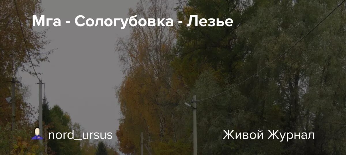 Мга сологубовка расписание. Мга сологубовка расписание. Сологубовка деревня ленинградская область. Деревня сологубовка немецкое кладбище. Кладбища в поселках сологубовка.