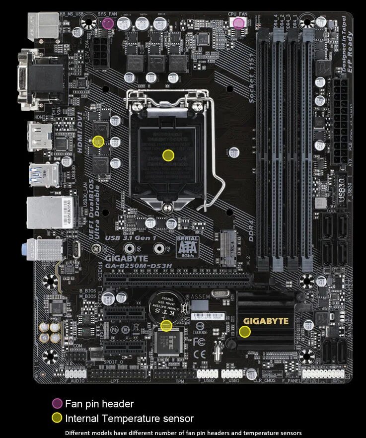 Плата gigabyte a520m h. Ga-b250m-ds3h. Гибридные разъемы двойного назначения.