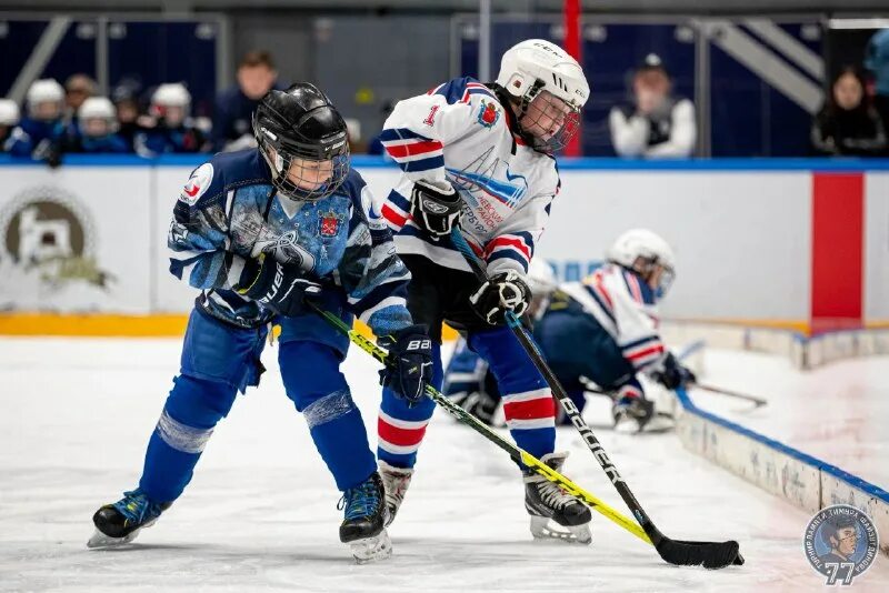 дхл 15 хоккей спб. ак барс лада. команды мхл 22-23. коннор макдэвид фото. 2022.