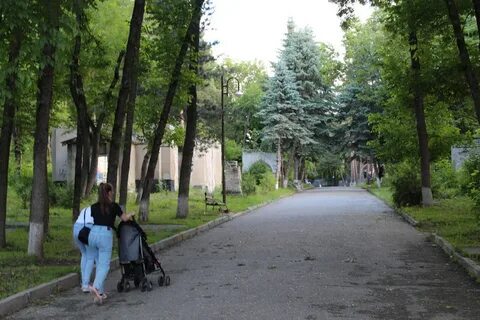 Комсомольский парк кисловодск