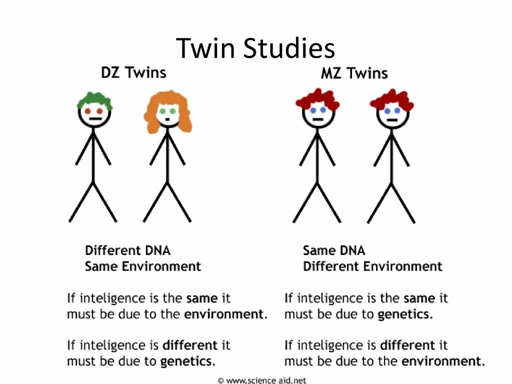 Генетика близнецов. Nature versus nurture. Twin method. Twin studies. Gemini meaning.