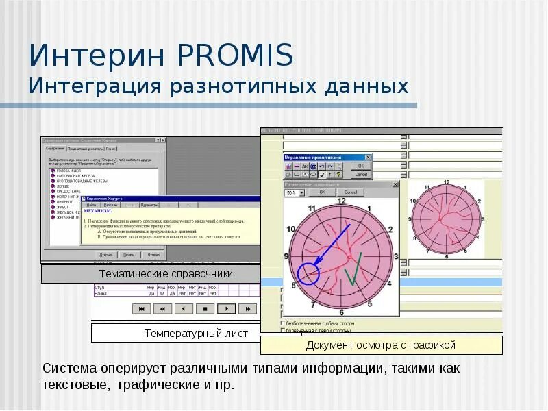 Интерин. Интерин Promis. Особенности интеграции разнотипных данных в ГИС. Работа в программе Интерин. Мис Интерин Promis.