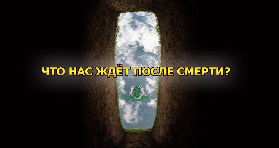 Выжить после смерти. Реинкарнация Души.