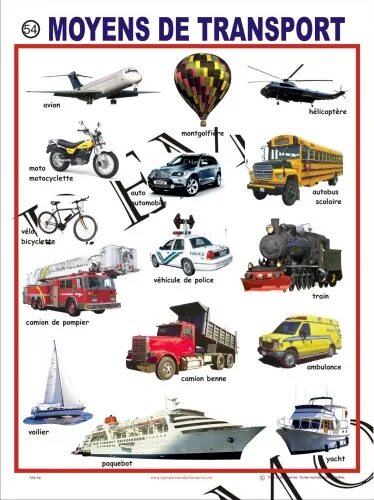 городской транспорт для детей. тема транспорт на французском языке. транспорт на французском. транспорт картинки для детского сада. Transport cu copii знак.