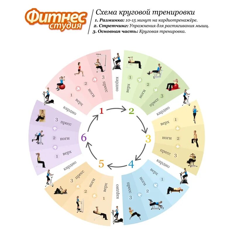 Круговая тренировка что это такое. Круговая тренировка что это такое