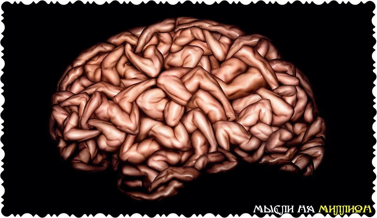 Brain best. Мозги картинка с надписью.