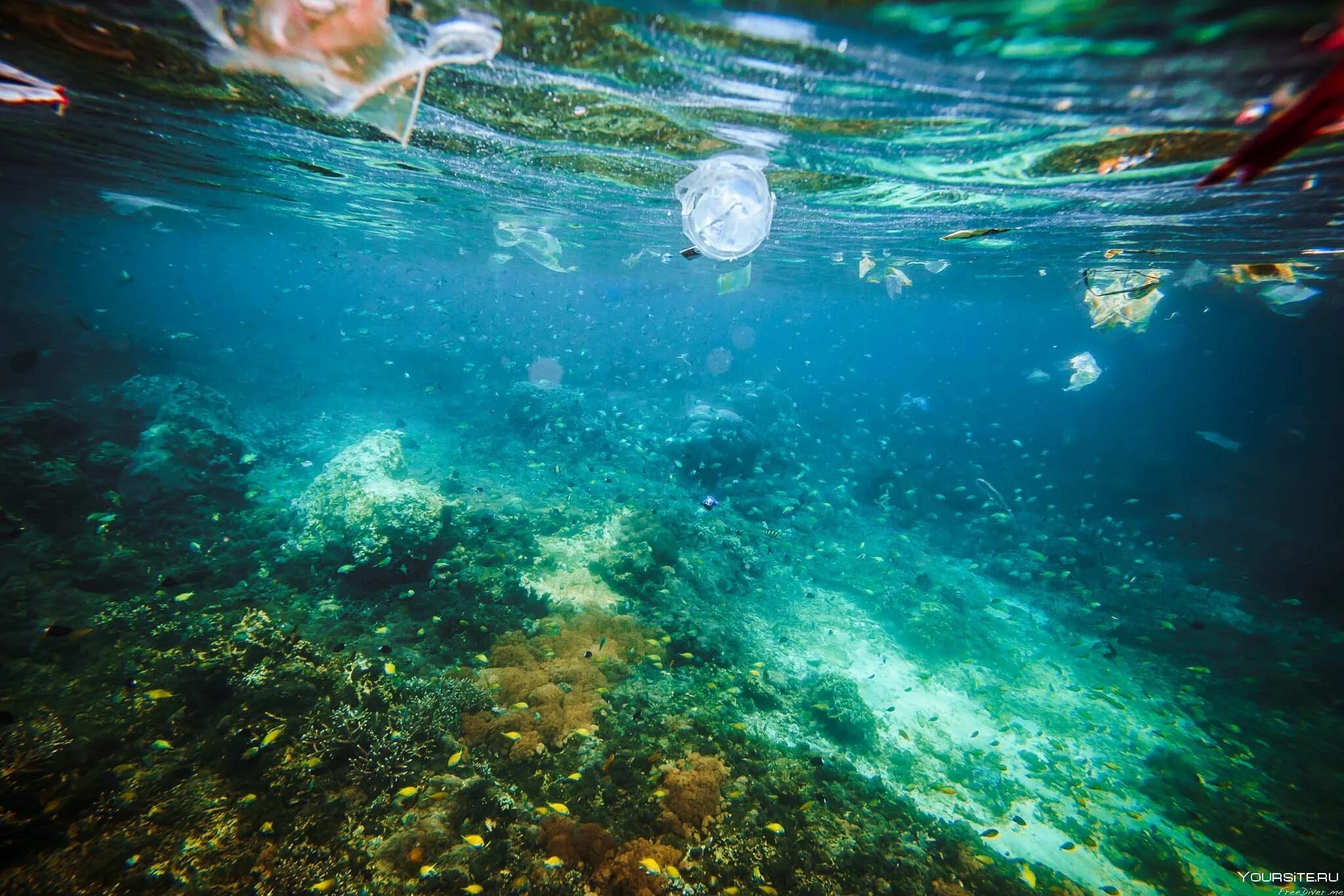 Толщи вод океанов. Под водой. Океан под водой. Загрязнение мирового океана. Под морем.