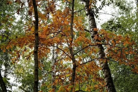 19 сентября омск
