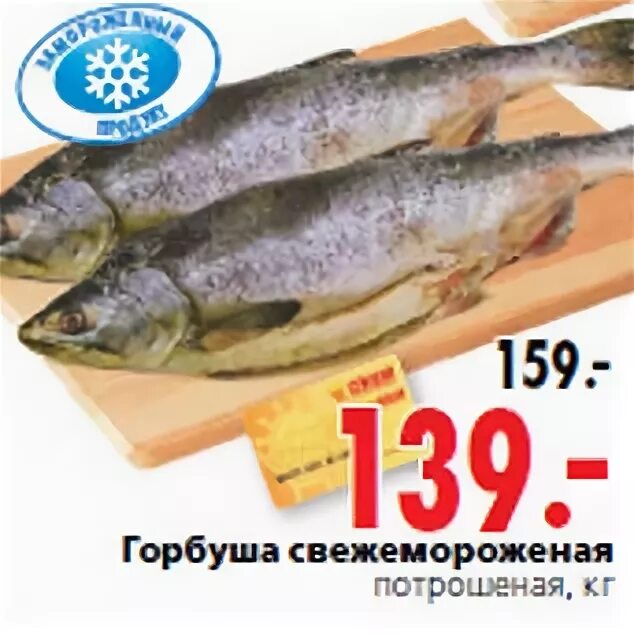 Сколько сейчас стоит горбуша. Классификация горбуши. Горбуша. Сколько сейчас стоит горбуша. Приморская горбуша.