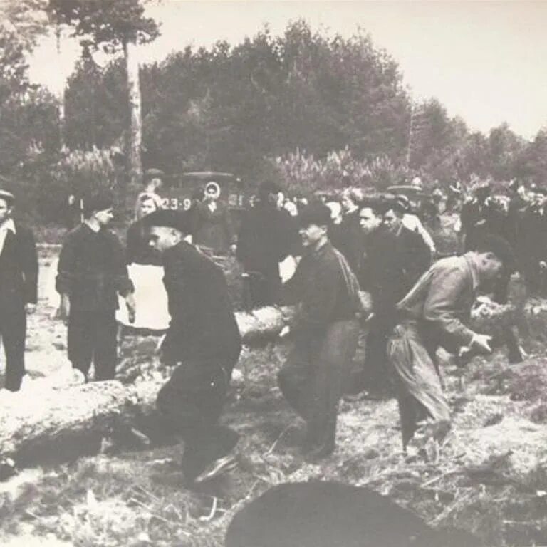 Самара парк советской власти. Парк ВЛКСМ Ульяновск. Парка 40-летия ВЛКСМ. Парк 40 ВЛКСМ Ульяновск. Парк на верхней террасе Ульяновск 40 лет ВЛКСМ.