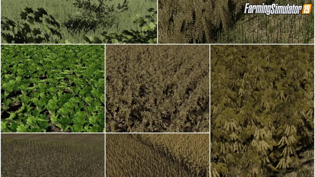 Texture features mod