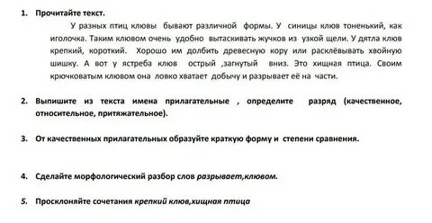 Выпишите из текста имена участников