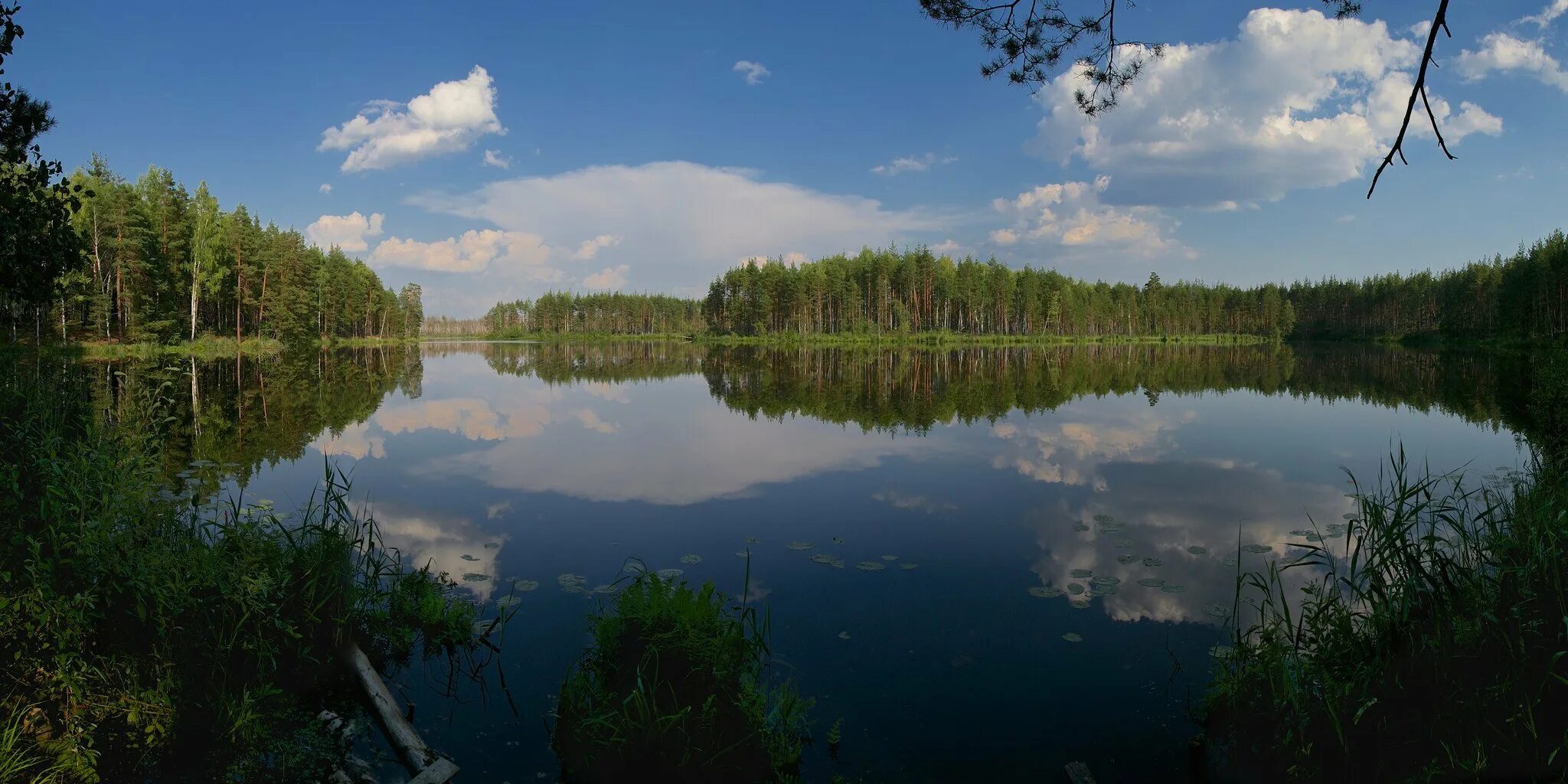 Святое озеро ивановская область. Высоковское озеро. Серковское озеро ивановская область. Оз высоковское ивановская область. Озеро высоковское ивановская область.