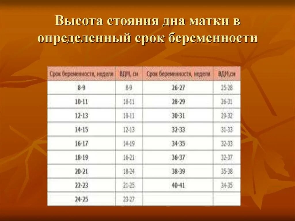 Высота стояния дна матки в 32 недели беременности. Высота дна матки по неделям беременности таблица норма. Норма высоты дна матки по срокам. Срок беременности по высоте стояния дна матки. В см 38 недель