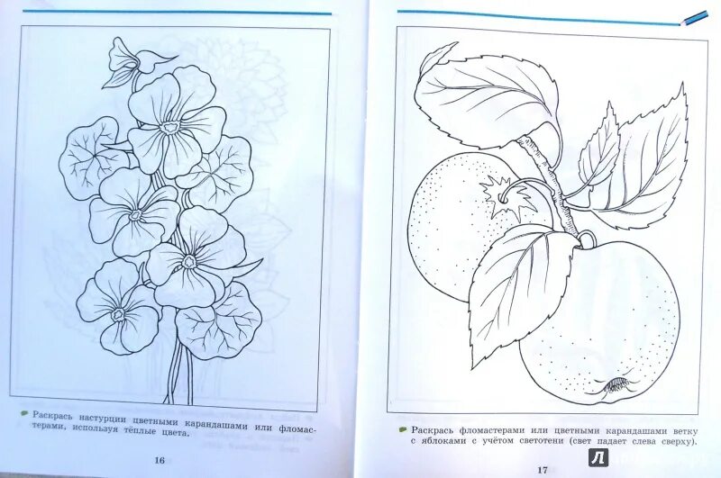 Задание по рисованию 3 класс. Задания по изо 1 класс.