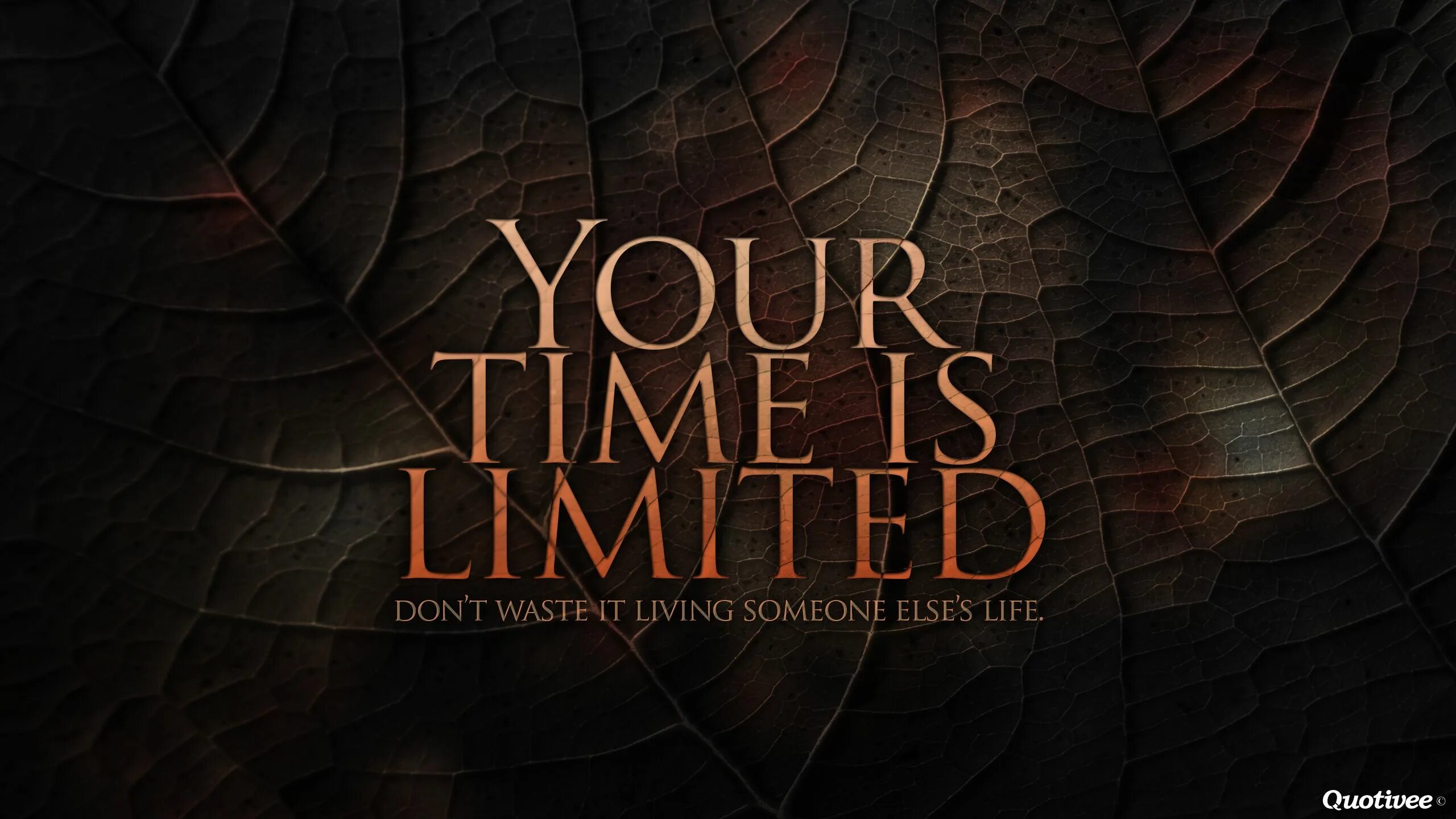 Stop have a time