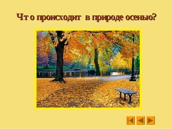 Действие происходит осенью. Что происходит осенью. Что происходит осенью в природе. Осень что происходит. Когда в Москве наступает осень?.