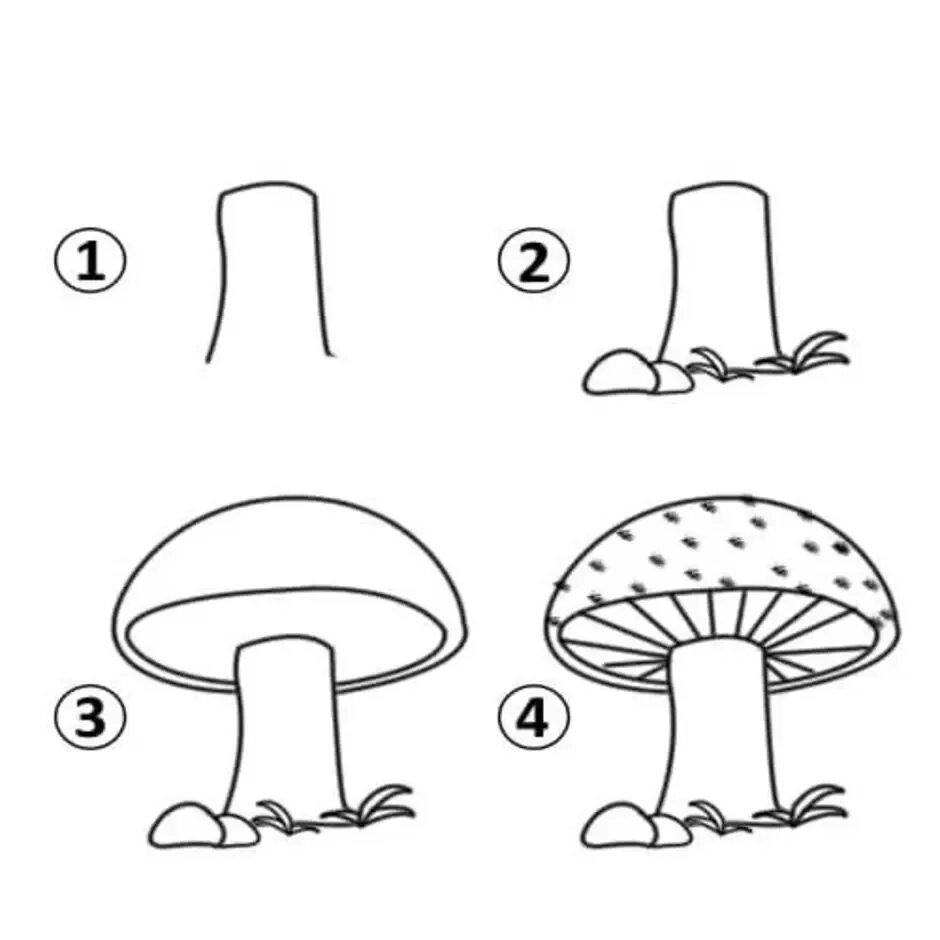 Рисование гриба поэтапно. Рисуем грибы поэтапно. Гриб рисунок для детей карандашом. Поэтапное рисование гриба для детей. Грибы поэтапно