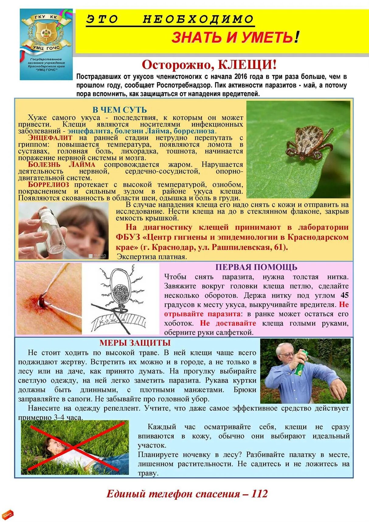 Клещи информация. Памятка о клещах для детей. информация для родителей клещи. клещи памятка для родителей. клещи листовка.